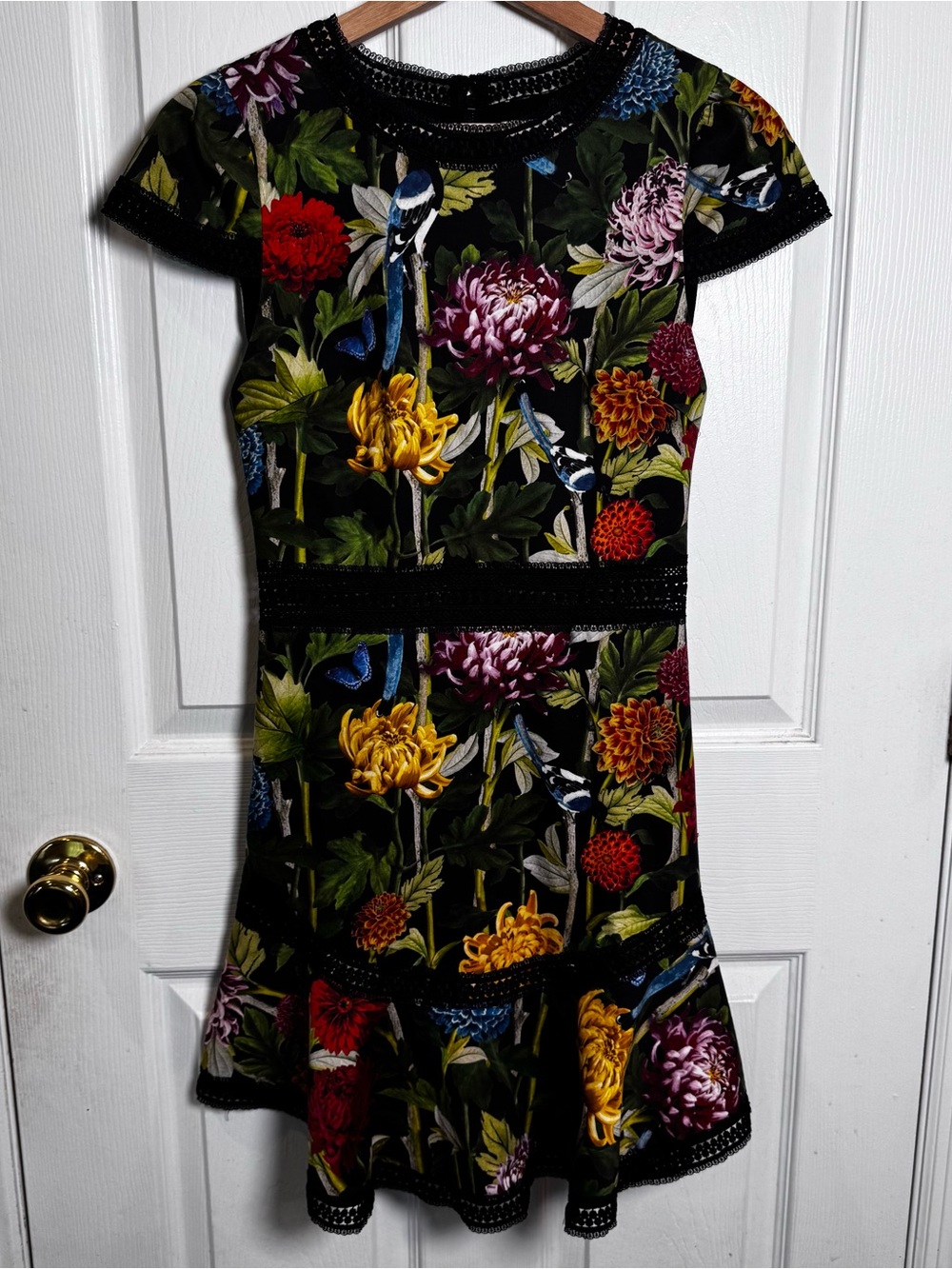 Alice + Olivia Rapunzel Blooming Garden Floral Lace Fit Flare Dress Size 0